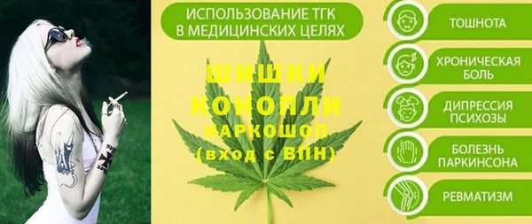 гидра Переславль-Залесский