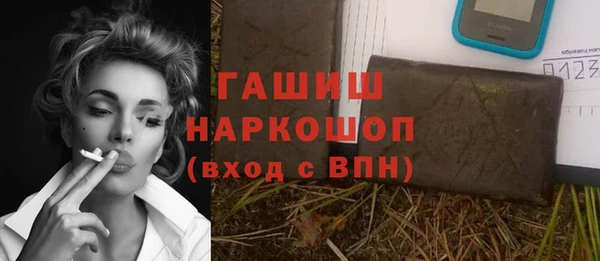 гидра Переславль-Залесский