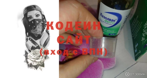 мдпв Пересвет