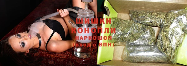 гидра Переславль-Залесский