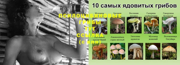 прущие крисы Покров
