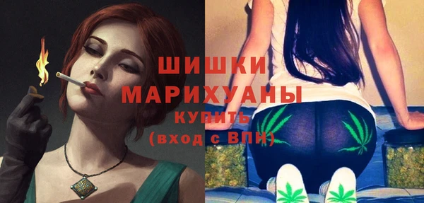 мдпв Пересвет