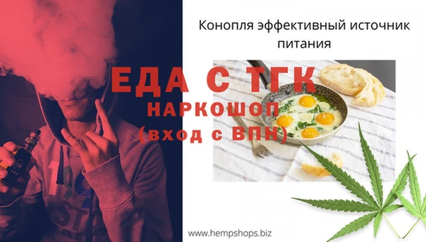 гидра Переславль-Залесский